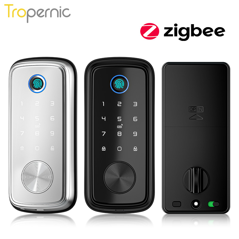 Smart Door Lock Wifi - Tuya Zigbee Deur Nachtschoot Sloten Biometrische