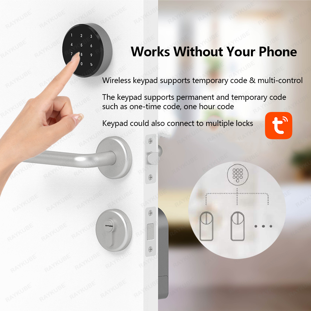 RAYKUBE A1 Pro Tuya BEL Smart  - Smart Door Lock Wifi recensie en prijs
