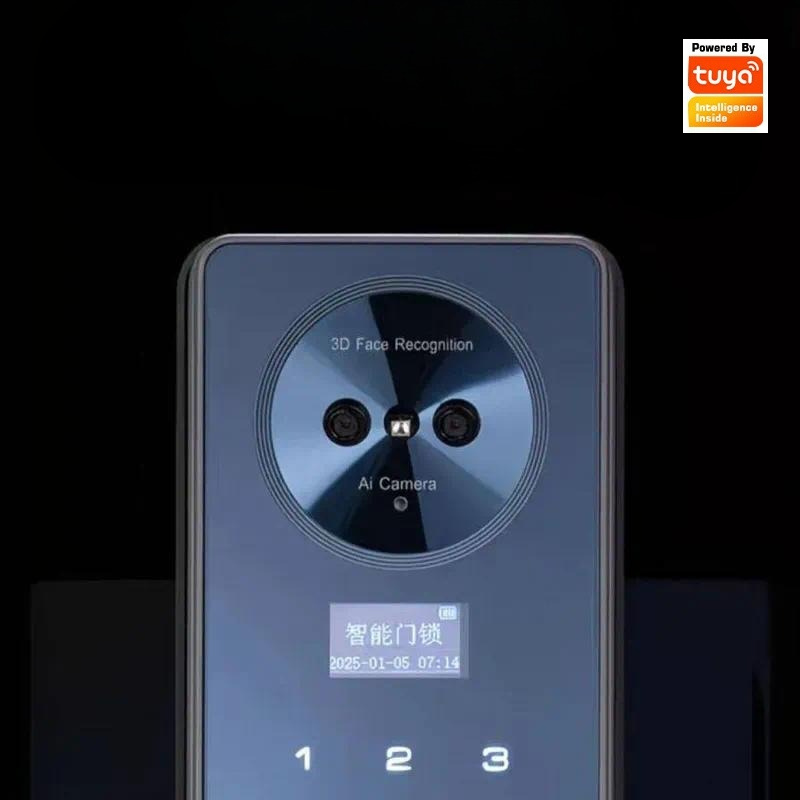Slimme slot met gezichtsherken - Smart Door Lock Wifi recensie en prijs