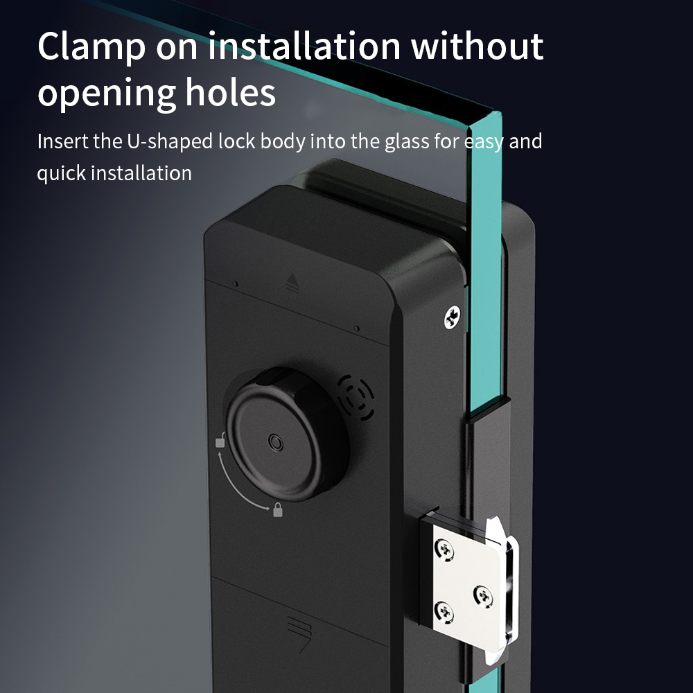 TTLOCK slim glazen slot met vi - Smart Door Lock Wifi recensie en prijs